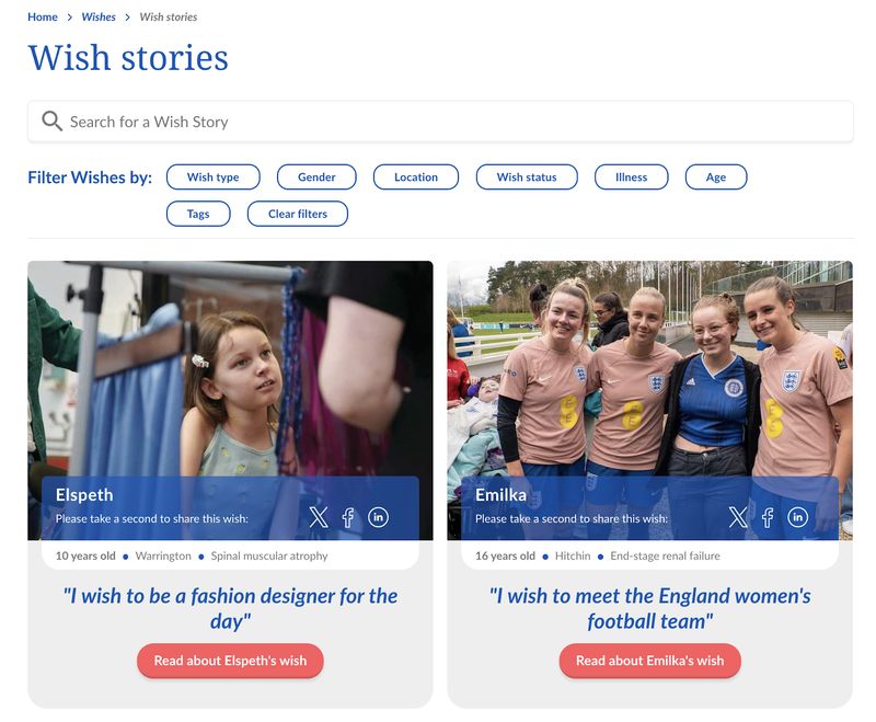 Nonprofit search bar example