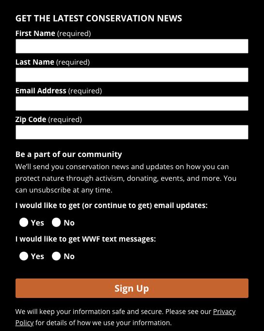 Nonprofit detailed newsletter sign-up form example